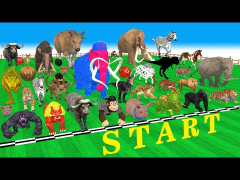49 Incredible Animals Race vs Dinosaurs vs Prehistoric Mammals Speed Race Run: Who Will Win? ARBS #5
