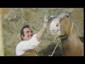 Vicente Fernández / Si te vas no hay Lió HD/HQ