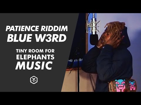 Blue w3rD - Patience Riddim (Live) | TRFE Music Series