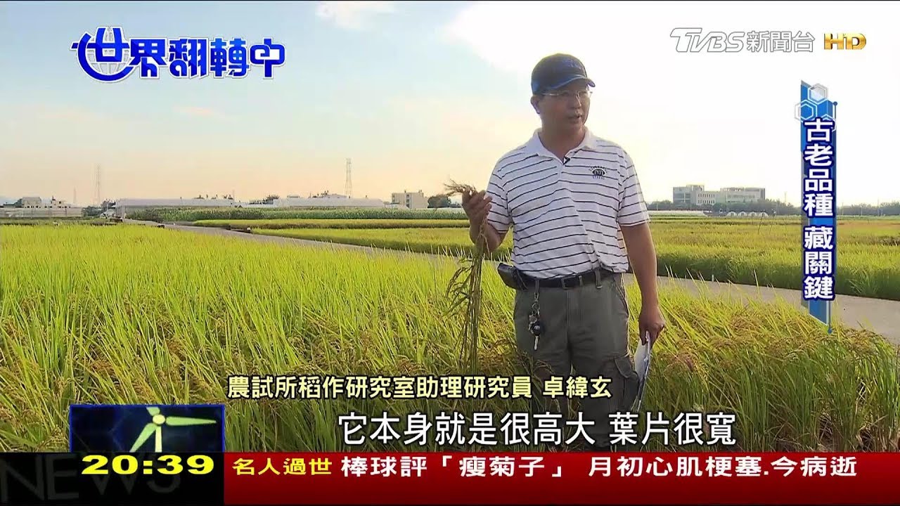 農業永續關鍵在種原 種子銀行身負重任