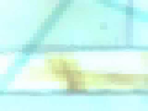 underworld-born slippy (paul van dyk remix)