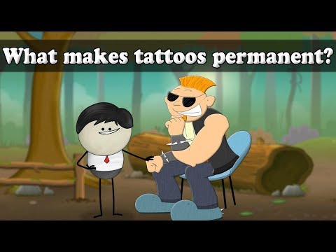 是什麼讓紋身成為永久的？| 紋身是什麼？ (What makes tattoos permanent? | #aumsum)
