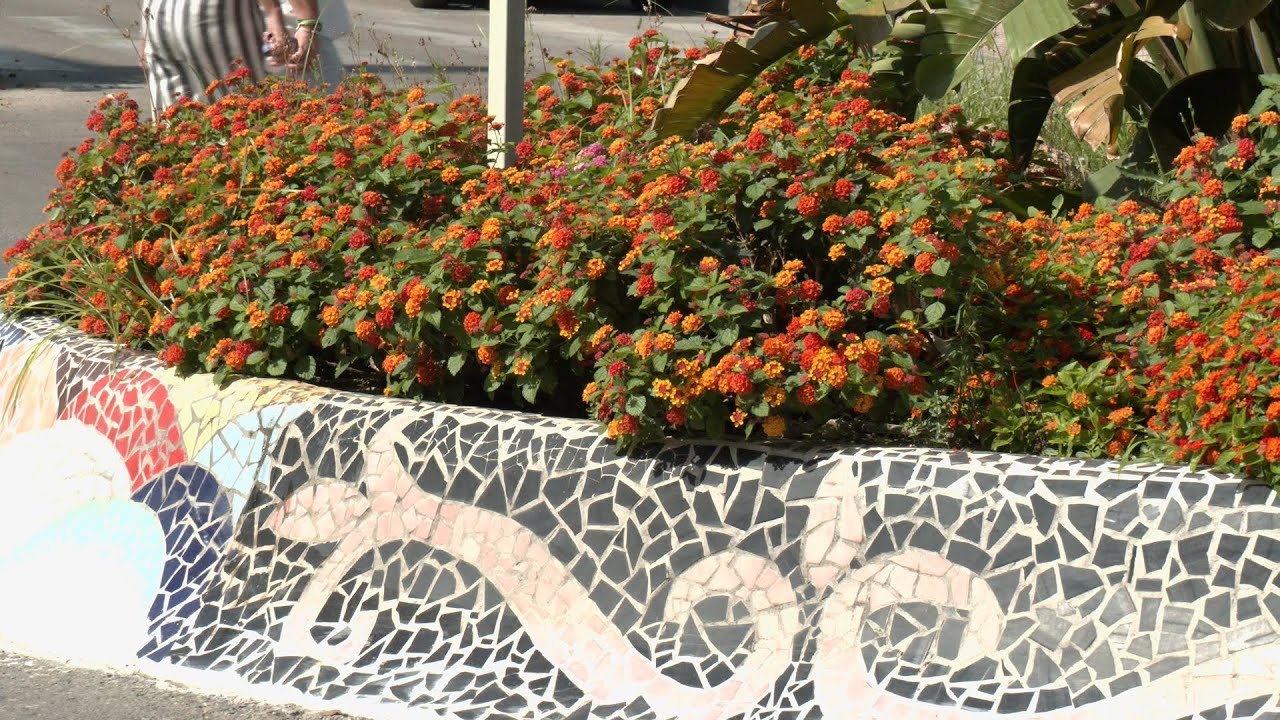 Mejoras en las rotondas de la Avenida España