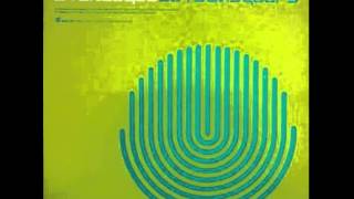 Stereolab - The Flower Called Nowhere