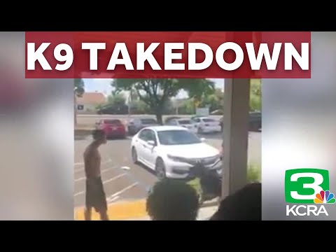 Witness records K9 taking down suspect outside Roseville restaurant