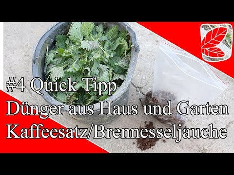 Dünger aus Haus und Garten - Quick Tipp #4
