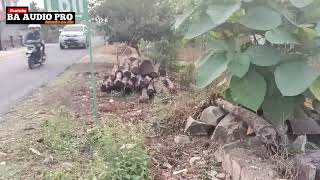 Download lagu Cek Sound ][ Sound Ndeso ][Cover ][ Sakit Gigi ][ PERMANA MUSIC ][ BA AUDIO mp3