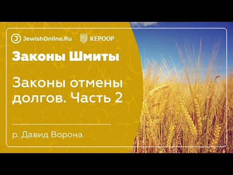 Законы шмиты. Урок 28. Законы отмены долгов
