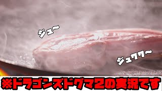 【 #ドラゴンズドグマ2  】ドグマの世界観を楽しみながら肉を食らう