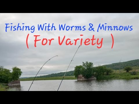 Fishing With Worms &amp; Minnows ( For Variety )