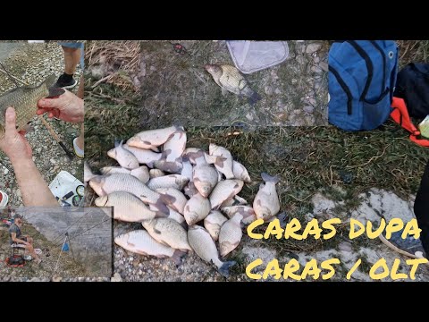 AM GASIT CARASUL MARE PE OLT , PESCUIM LA MARE ADANCIME IN PRAGURI CU FEEDERUL SUB BARAJ la METHOD