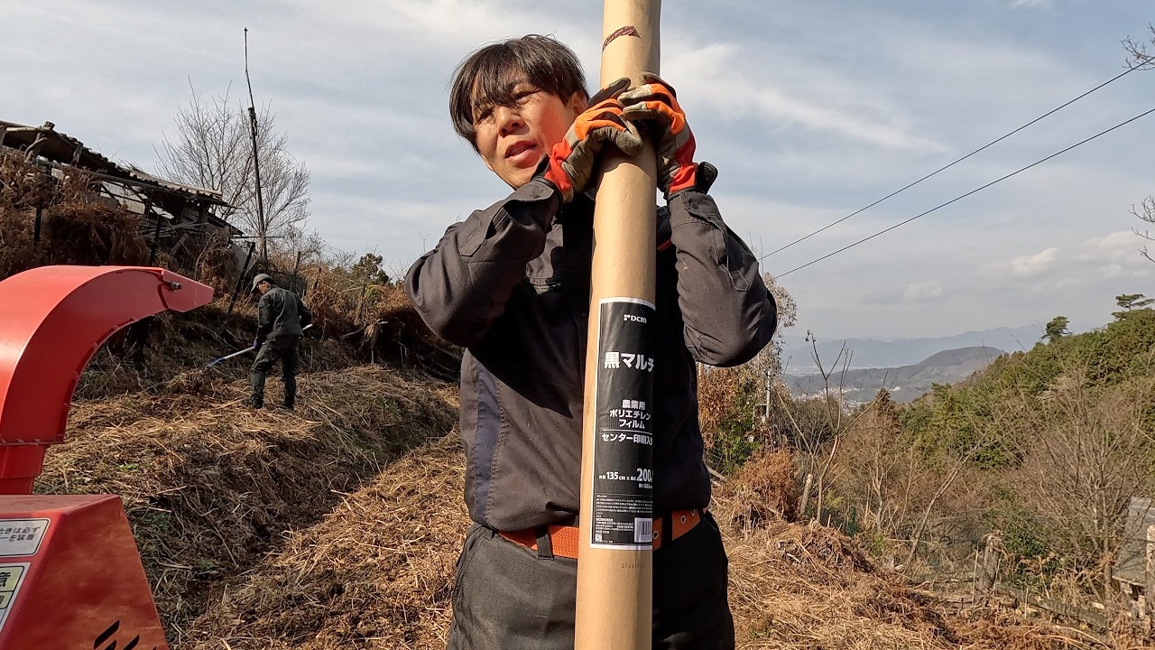 菌ちゃん農法やった。枯れ草、枯れ枝、山にあるもので野菜ができれば一石二鳥。
