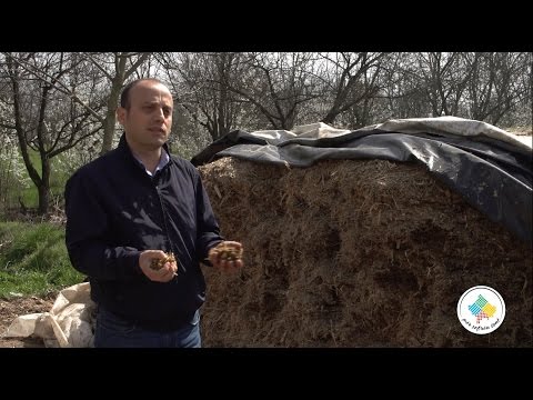 Keshilla Bujqesore - Pergatitja e silazhit