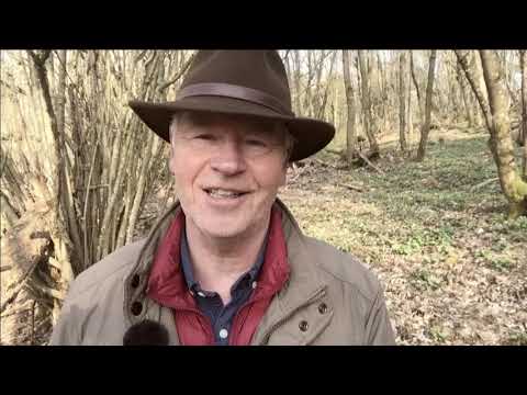 Ein Funke Hoffnung - 31.03.2020