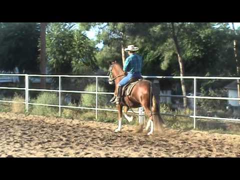 ECL Vanidoso - October 2015