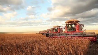 Bom Futuro - Aniversário de Cuiabá