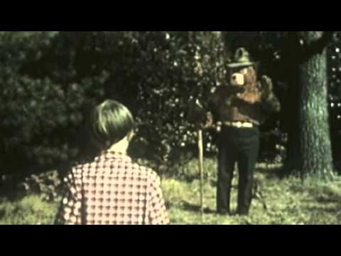 Little Big Sea - Jackalope