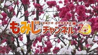 もみじチャンネル 2025年4月第4週／・みのわテラス通信　・図書館からこんにちは（５月のお知らせ）