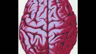 Maëror Tri - Viurunge (Last Firing Of The Neurons)