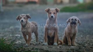 Bondax - Love Me Blind ft. Erik Hassle