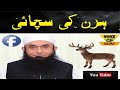 Deer Talking To Prophet Muhammad ﷺ Maulana Tariq Jameel Bayan 2017