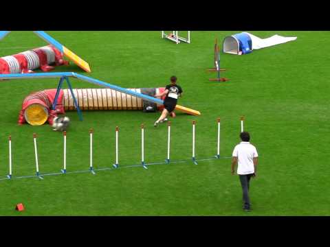 European Open 2012 - Individual finals - Maho Yamaguchi and Suzuka.