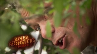 Encounter with a Bold Wels Catfish - River Monsters