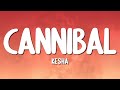 Kesha Cannibal Lyrics
