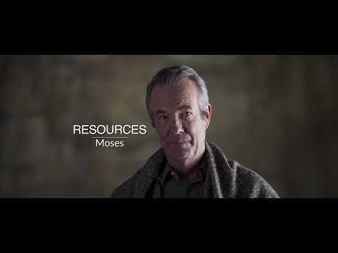 Witness21 Editor  2023 11 08