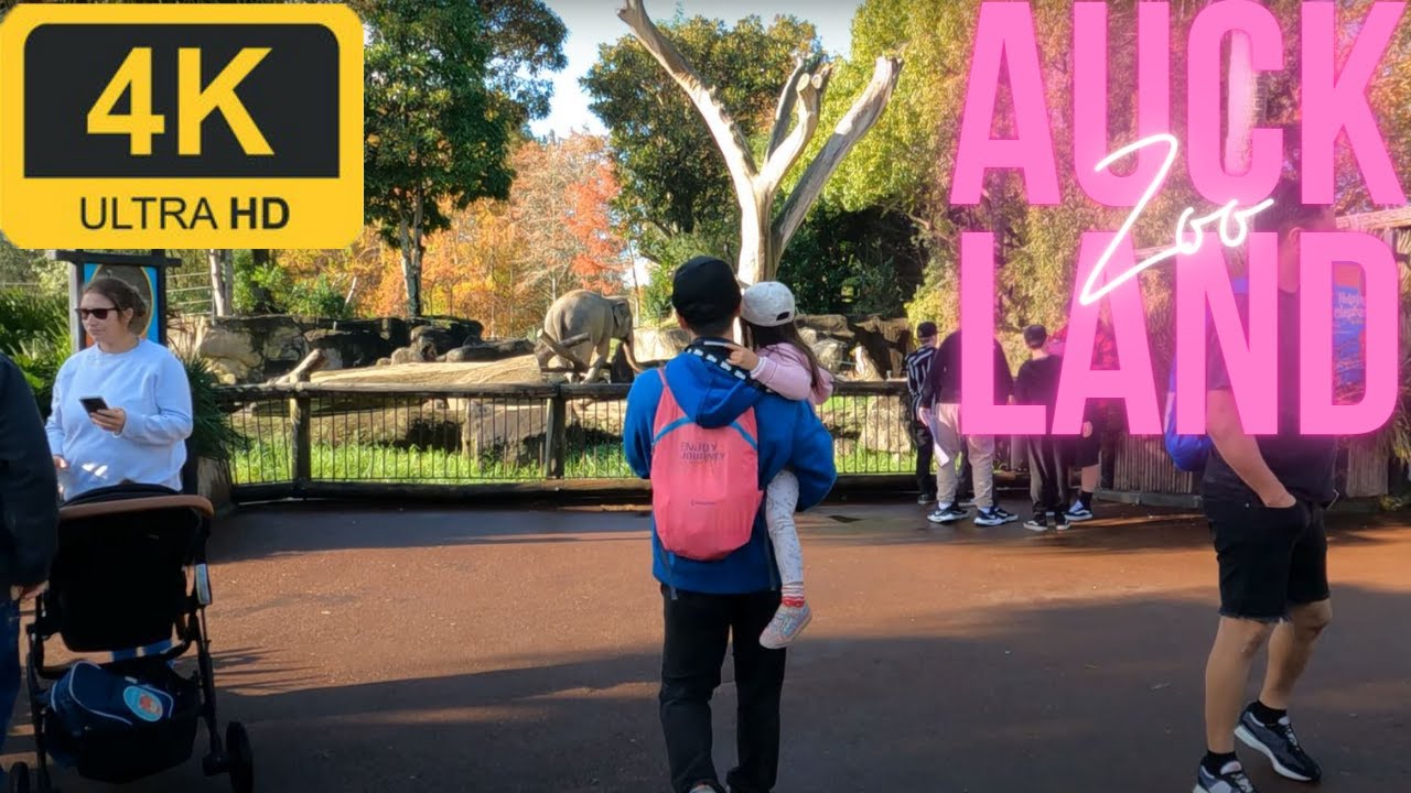 Embark on a virtual walking tour of Auckland Zoo.