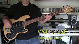 Bass Cover - Yes - Run Through The Light - with Wal Pro IIE fretless bass