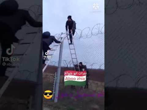 Serbia Border crossing Serbia To Hungary #musafer #fifia #europe #serbia