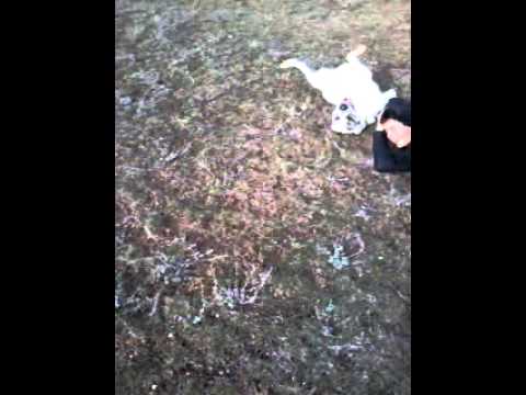 Прогулочка :Р