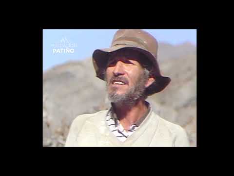 Tonada de la cruz  Paicho