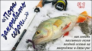 Ловля окуня поздней осенью на джиг