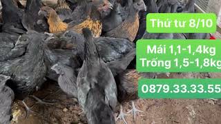 Thứ năm 09/10