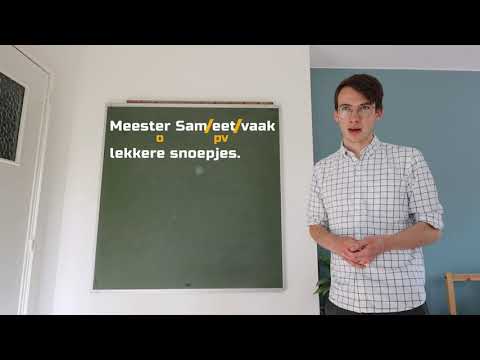 NEDERLANDS - zinsontleding 1