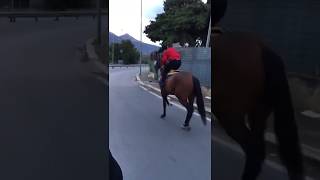 CRASH Gypsy crashes horse 🐴 BRUTAL