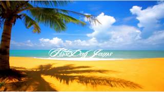 Mike Posner - Started From The Bottom (Remix ft. Asher Roth, T Mills, Chuck Inglish, King Chip)