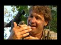 The Crocodile Hunter Best Of Steve Irwin S03 E14