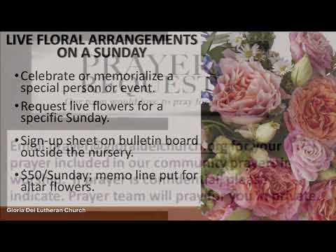 Gloria Dei Lutheran Church Service 8:30 am January 11, 2026