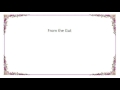 Hüsker Dü - From the Gut Lyrics