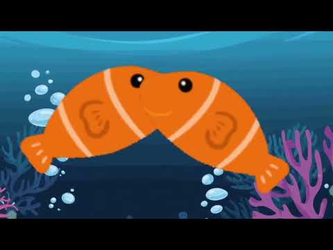 เพลง นีโม่น้อย ฟังยาวๆ 20 นาที | #นีโม่ #kidsongs #ปลา