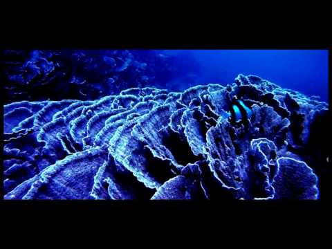 Maks Lamar   Ahora DJ Tarkan Remix NZR