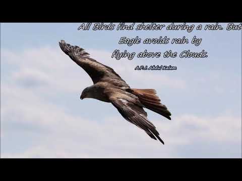 EIYE JOJO BY ELISHA MAZO 2005