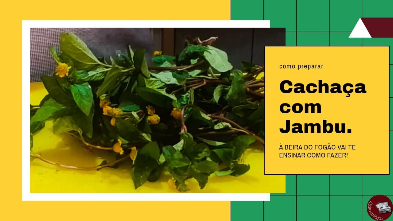 CACHAÇA COM JAMBU | Aprenda como fazer a sua!