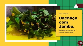 Cachaça with Jambu | Learn how to make your own!