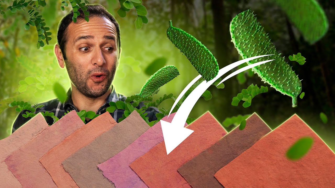 TINGIMOS TECIDOS com PAU-BRASIL