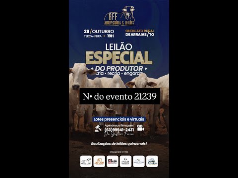 www.canalleiloes.com| LEILÃO ESPECIAL GFF AGROPECUÁRIA & LEILÕES - ARRAIAS DO TOCANTINS -TO