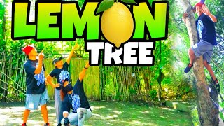 Download lagu LEMON TREE Remix| Tiktok Remix | Dance Fitness | Kingz Krew mp3
